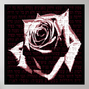 Poster Aishet Chayil - la femme de la bravoure sur s'est