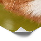 Poster Ajouter photo de chien personnalisé Customisé (Coin)