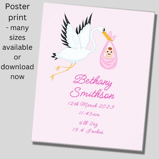 Poster Ajouter un nom - Détails de naissance Stork Pink B