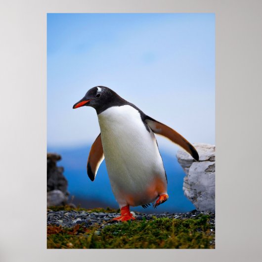 Poster Ajouter Votre Propre Modèle photo Image Cadeaux Pe (Devant)