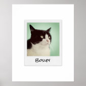 Poster Ajoutez votre photo d'animal Appareil photo instan (Devant)