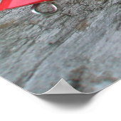 Poster AJS Lure Popper "Il s'agit de la pêche" (Coin)