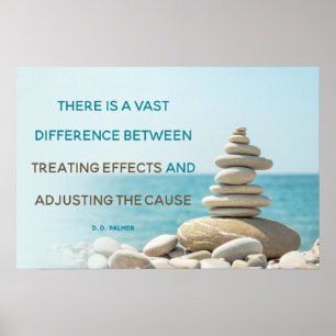 Poster Ajuster Le Devis De Cause Chiropratique