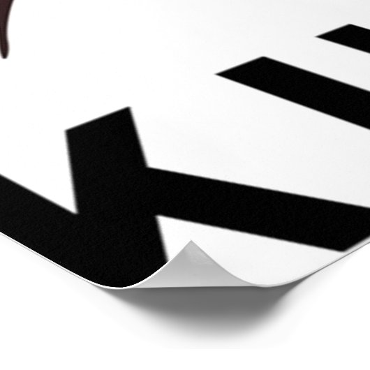 Poster Akira Kurosawa (Coin)