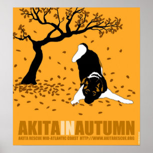 Poster Akita à l'automne (18 po x 19,5 po)