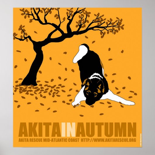 Poster Akita à l'automne (18 po x 19,5 po) (Devant)
