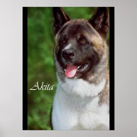 Poster Akita Art Imprimer Cadeaux (Devant)