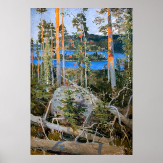 Poster Akseli Gallen-Kallela - Lac dans le désert (Devant)