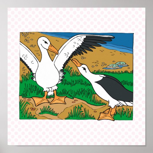 Poster Al & Ally Albatross (Devant)