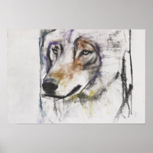 Poster Al Lupo de Processo