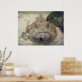 Poster Alabama Sea Life #3 Toile Imprimer (Cuisine)