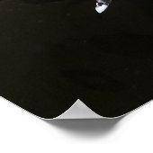 Poster Alabaster Nudibranche (Coin)