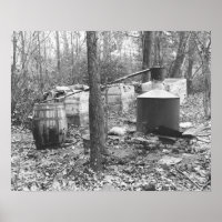 Alambic de contrebande dans les bois, 1931. Photo
