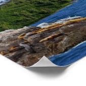 Poster Alaska (Coin)