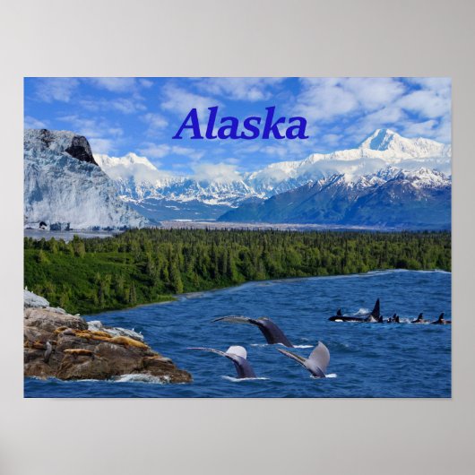 Poster Alaska (Devant)