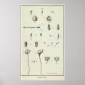 Poster Alaska 3 (Devant)