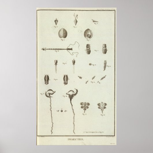 Poster Alaska 3 (Devant)