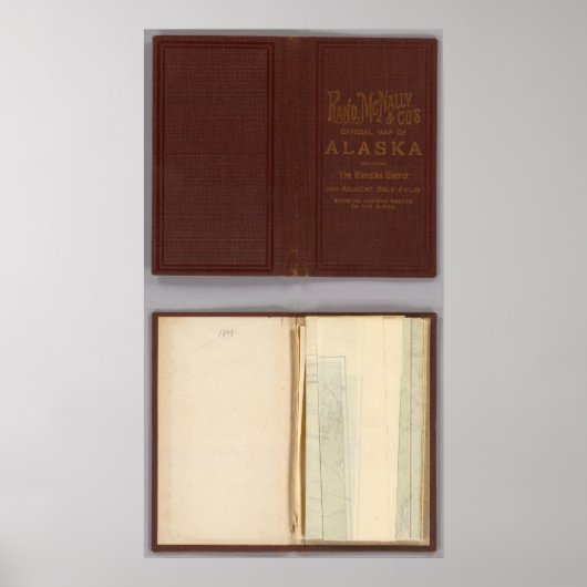 Poster Alaska 4 (Devant)