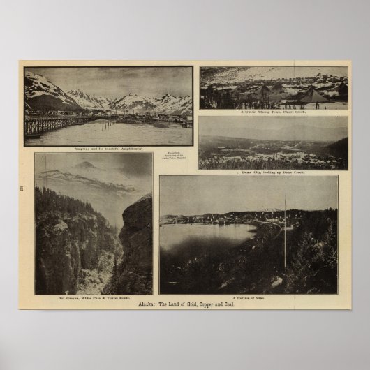 Poster Alaska 7 (Devant)