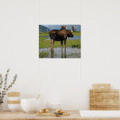 Poster Alaska Bull Moose Antlers Photo Conçu (Cuisine)