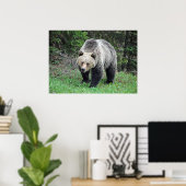 Poster Alaska Grizzly Bear Photo de la faune (Bureau à domicile)