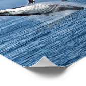 Poster Alaska Humpback Whale Wildlife Photo (Coin)