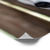 Poster Alaska Husky Sled Dog Beau art Imprimer (Coin)