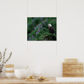 Poster Alaska, île de l'Unalaska Aigle Bald parmi Nootka (Cuisine)