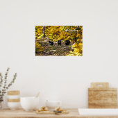 Poster Alaska Le Chemin Moins Voyagé (Cuisine)