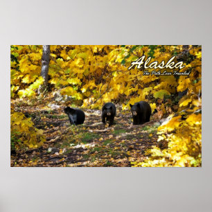 Poster Alaska Le Chemin Moins Voyagé