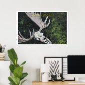 Poster Alaska primitif (Bureau à domicile)