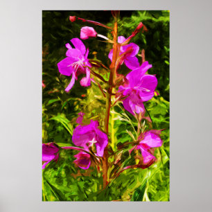 Poster Alaskan Fireweed Fleur sauvage rose Abstrait