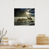 Poster Alaskan Husky Dog Sled Race (Cuisine)