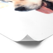 Poster Alaskan Husky Love (Coin)