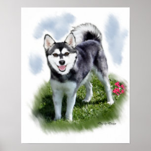 Poster Alaskan Klee Kai Art