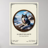 Poster Alaskan Malamute Zoology Series (Devant)