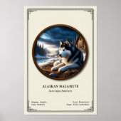 Poster Alaskan Malamute Zoology Series (Devant)