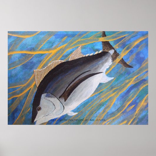 Poster Albacore (Devant)