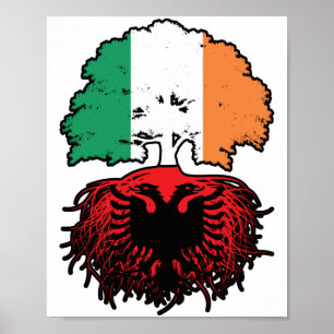Poster Albanie Drapeau des racines d'arbres en Irlande