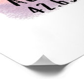 Poster Albany NY City Skyline (Coin)