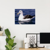 Poster Albatros (Bureau à domicile)