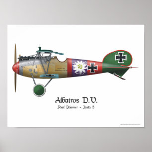 Poster Albatros D.V. ww1 Avion de chasse allemand Bäumer