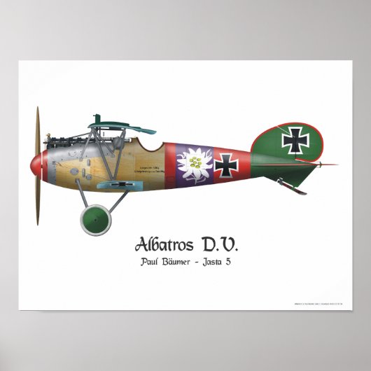 Poster Albatros D.V. ww1 Avion de chasse allemand Bäumer (Devant)