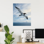 Poster Albatros des vents Océan infini (Bureau à domicile)