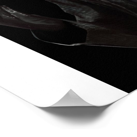 Poster Albert Wesker (Coin)