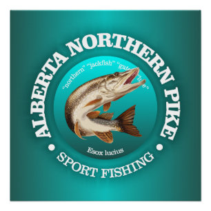 Poster Alberta Pike Fishing