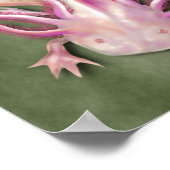 Poster Albino Axolotl "Poisson de promenade" Art (Coin)
