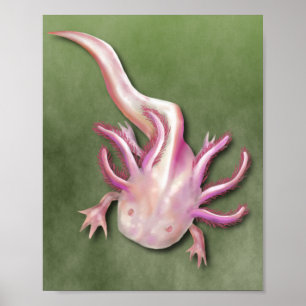 Poster Albino Axolotl "Poisson de promenade" Art