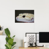 Poster Albino Leopard Gecko Gros plan (Bureau à domicile)