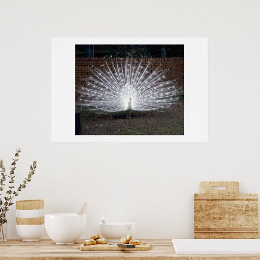 Poster Albino Peacock (Cuisine)